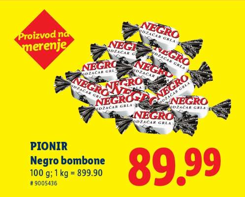 Pionir
