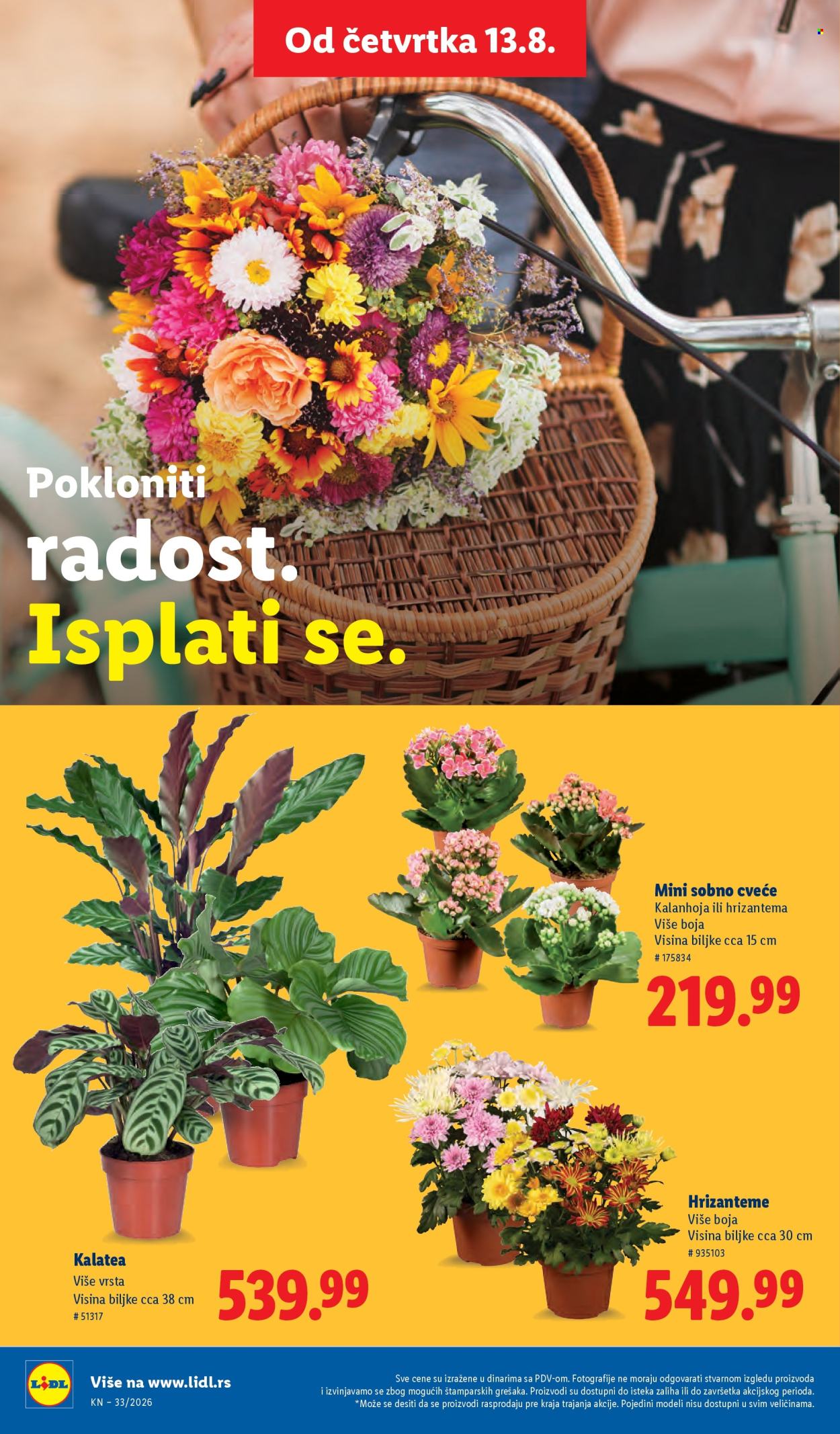 Lidl katalog  - 13.08.2026 - 19.08.2026. Stranica 74