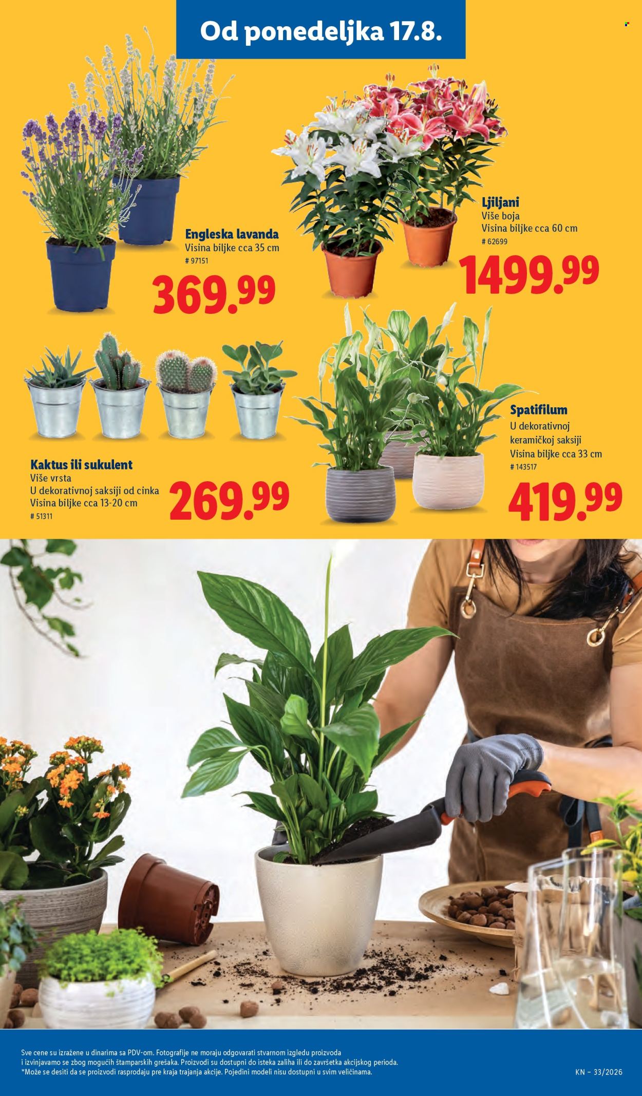 Lidl katalog  - 13.08.2026 - 19.08.2026. Stranica 75