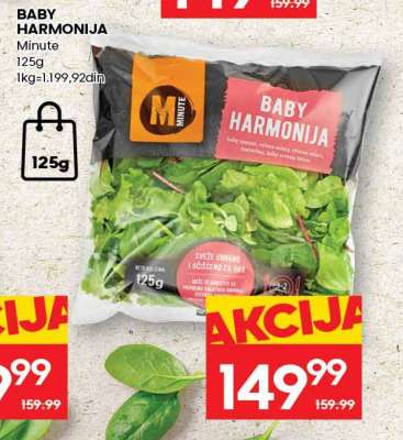 BABY HARMONIJA