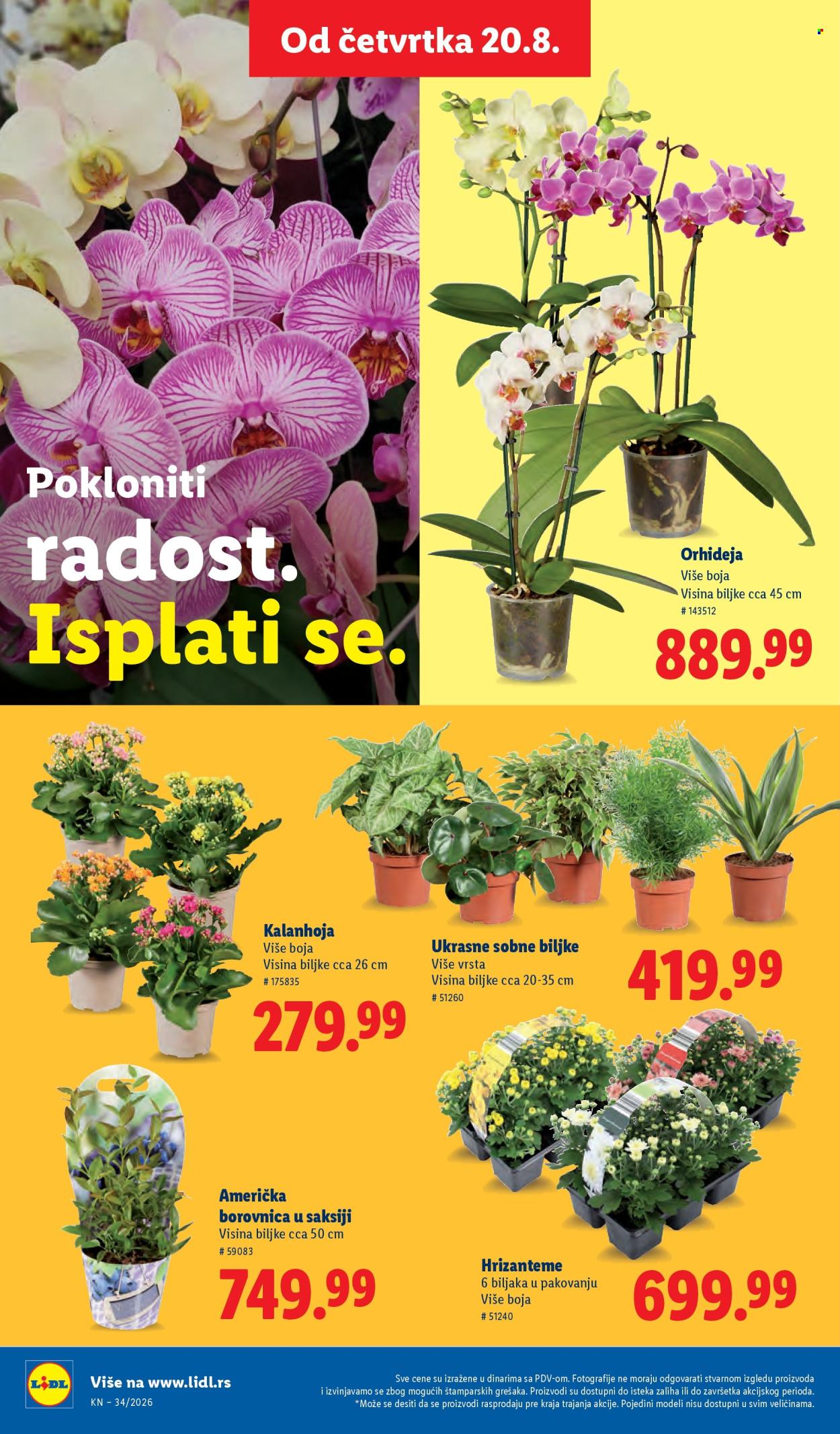 Lidl katalog  - 20.08.2026 - 26.08.2026. Stranica 78
