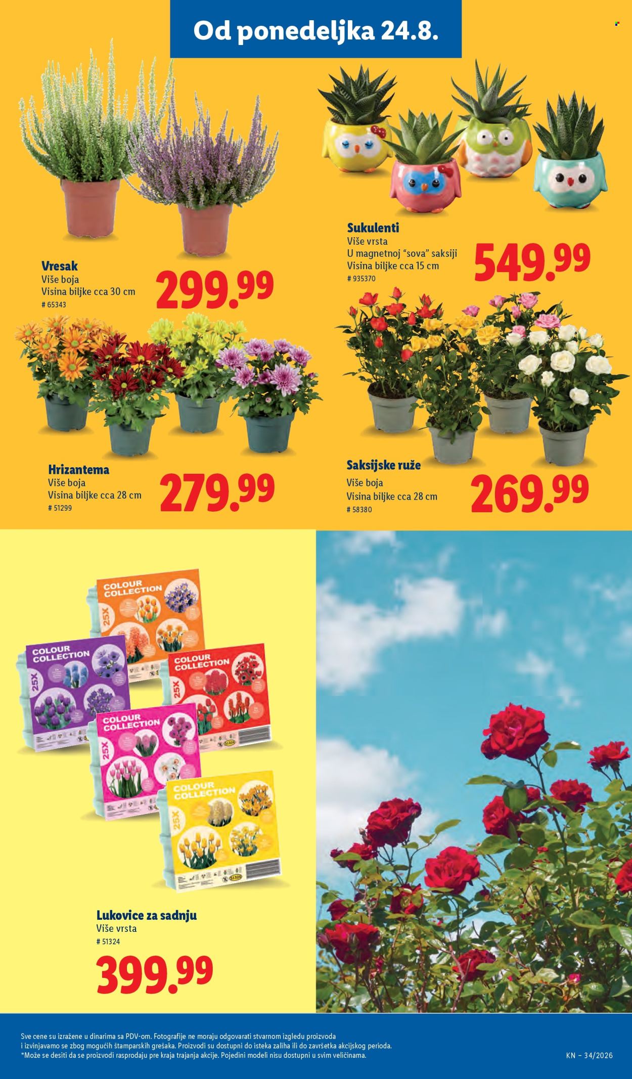 Lidl katalog  - 20.08.2026 - 26.08.2026. Stranica 79