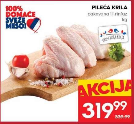 PILEĆA KRILA