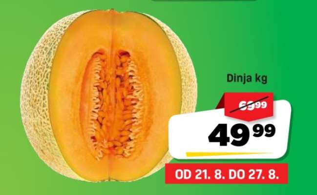DINJA kg