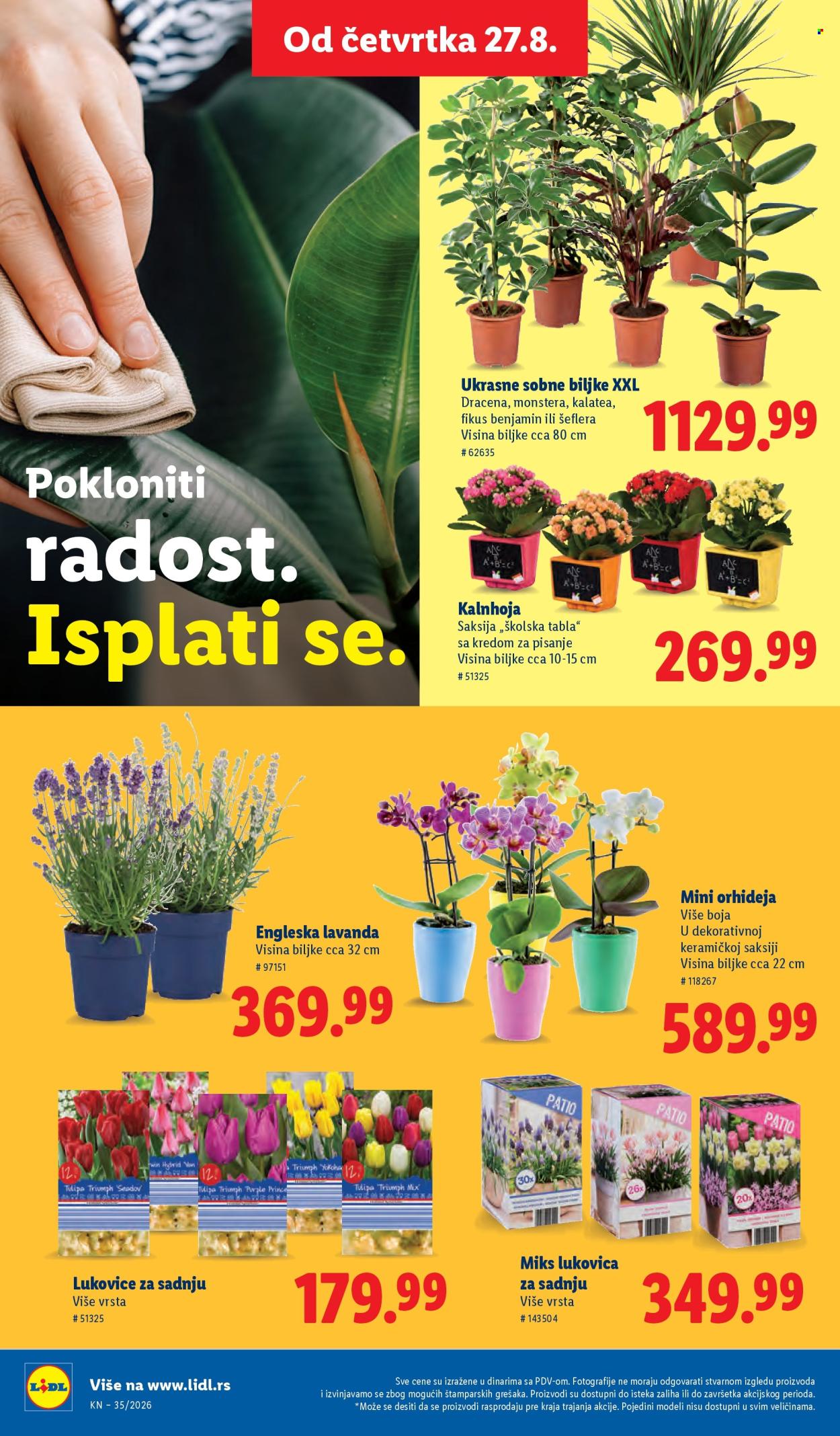 Lidl katalog  - 27.08.2026 - 02.09.2026. Stranica 68