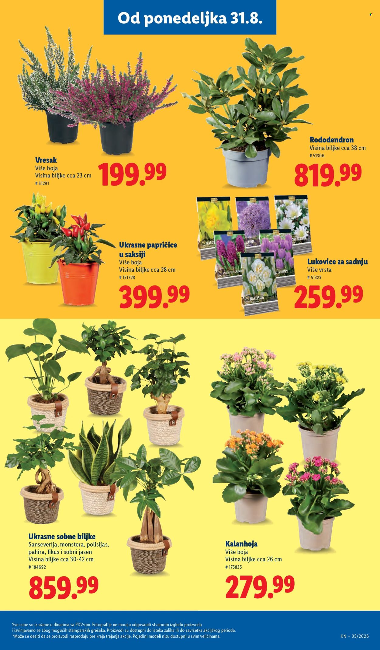 Lidl katalog  - 27.08.2026 - 02.09.2026. Stranica 69