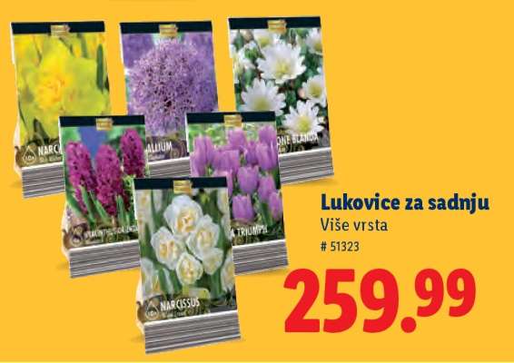Lukovice za sadnju