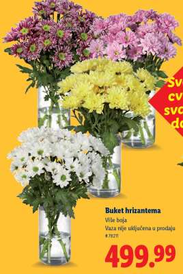 Buket hrizantema