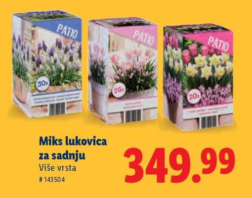 Miks lukovica za sadnju
