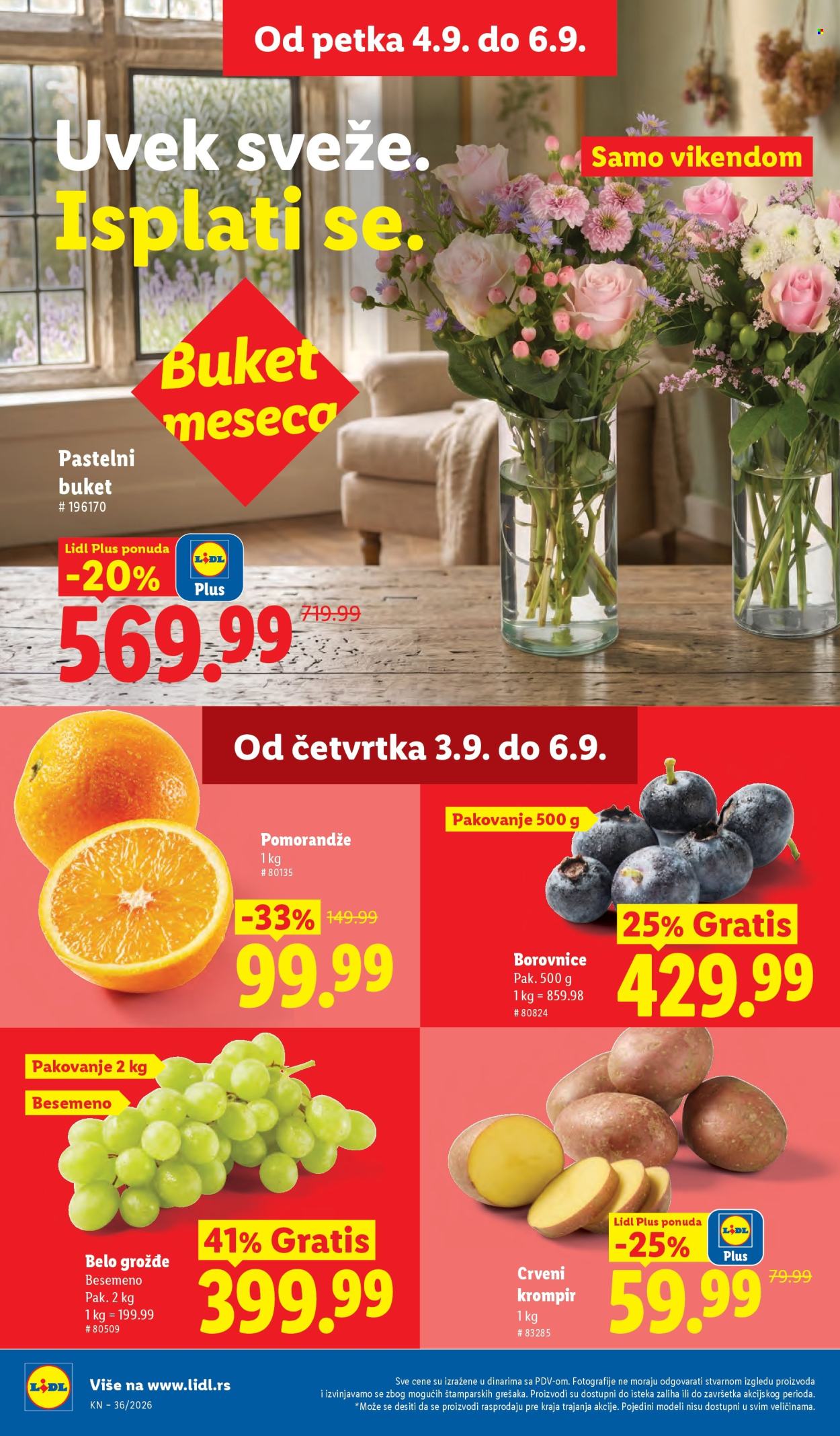 Lidl katalog  - 03.09.2026 - 09.09.2026. Stranica 24