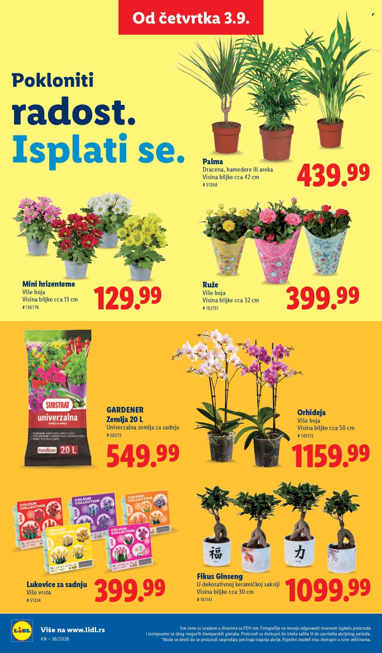 Lidl katalog  - 03.09.2026 - 09.09.2026. Stranica 82