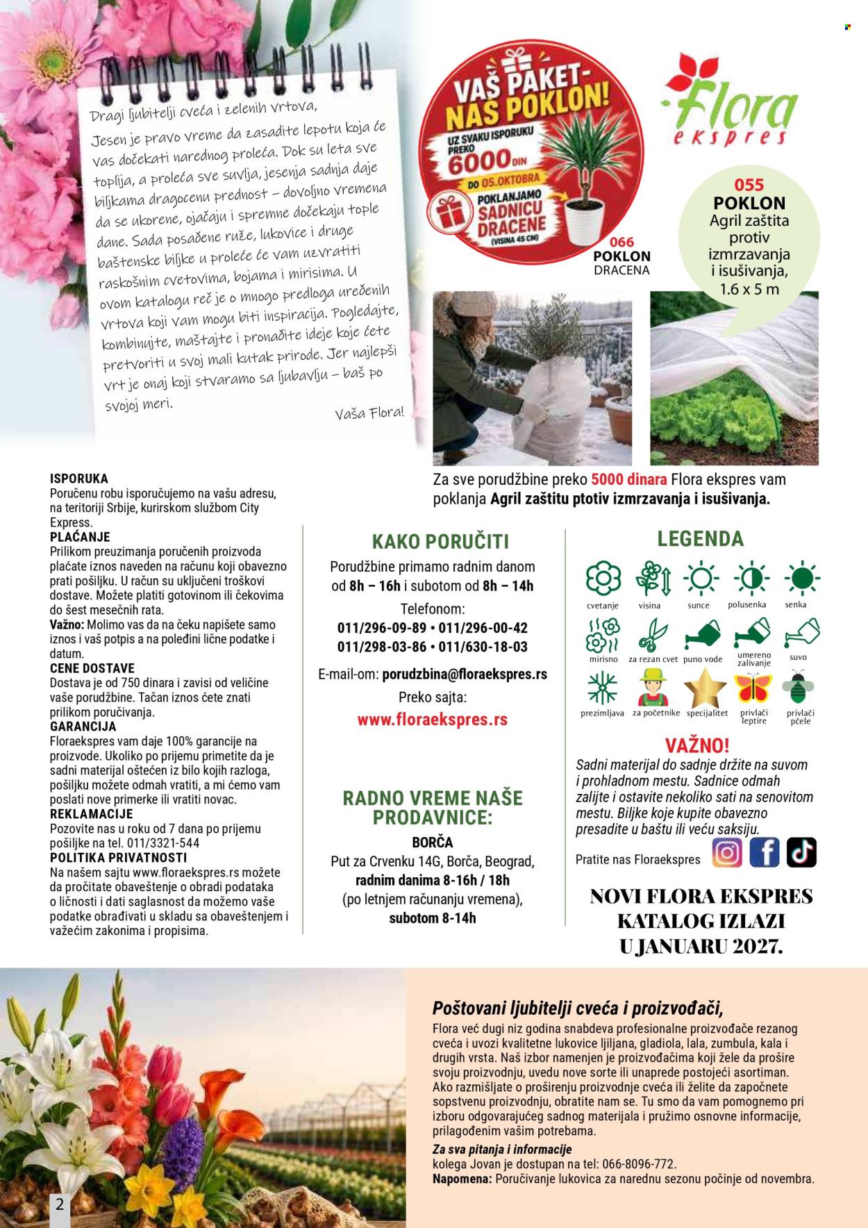 Flora Ekspres katalog . Stranica 2