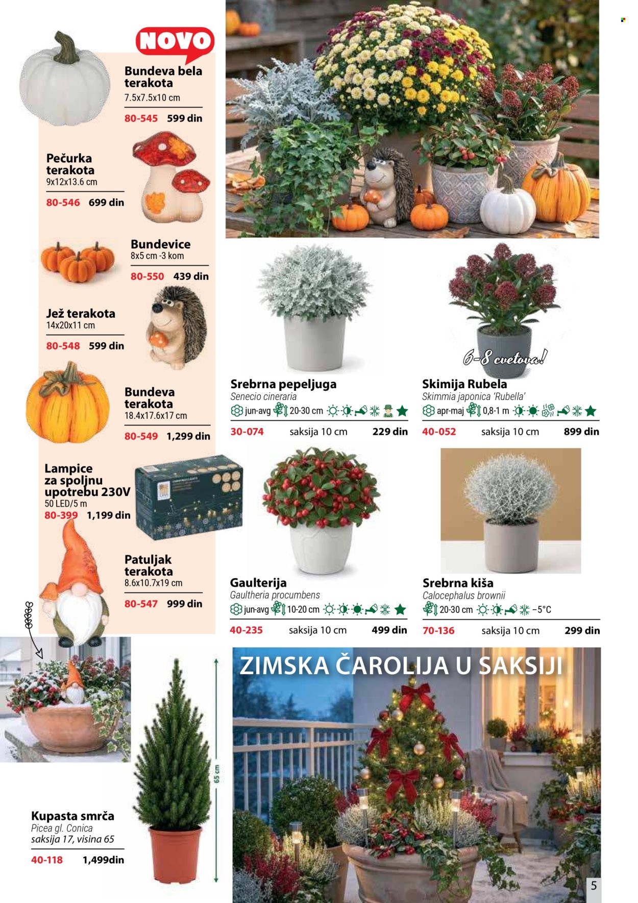 Flora Ekspres katalog . Stranica 5