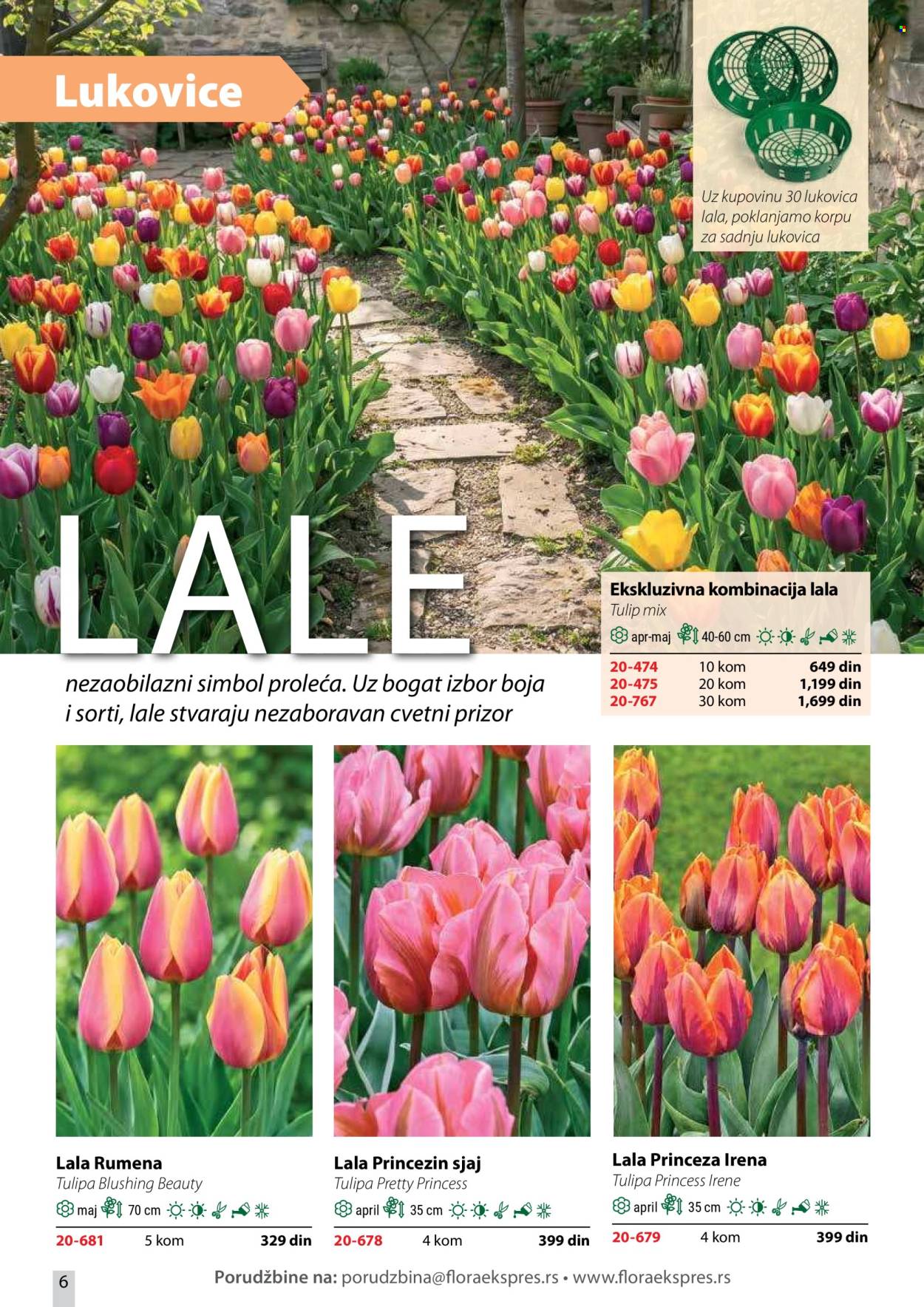 Flora Ekspres katalog . Stranica 6