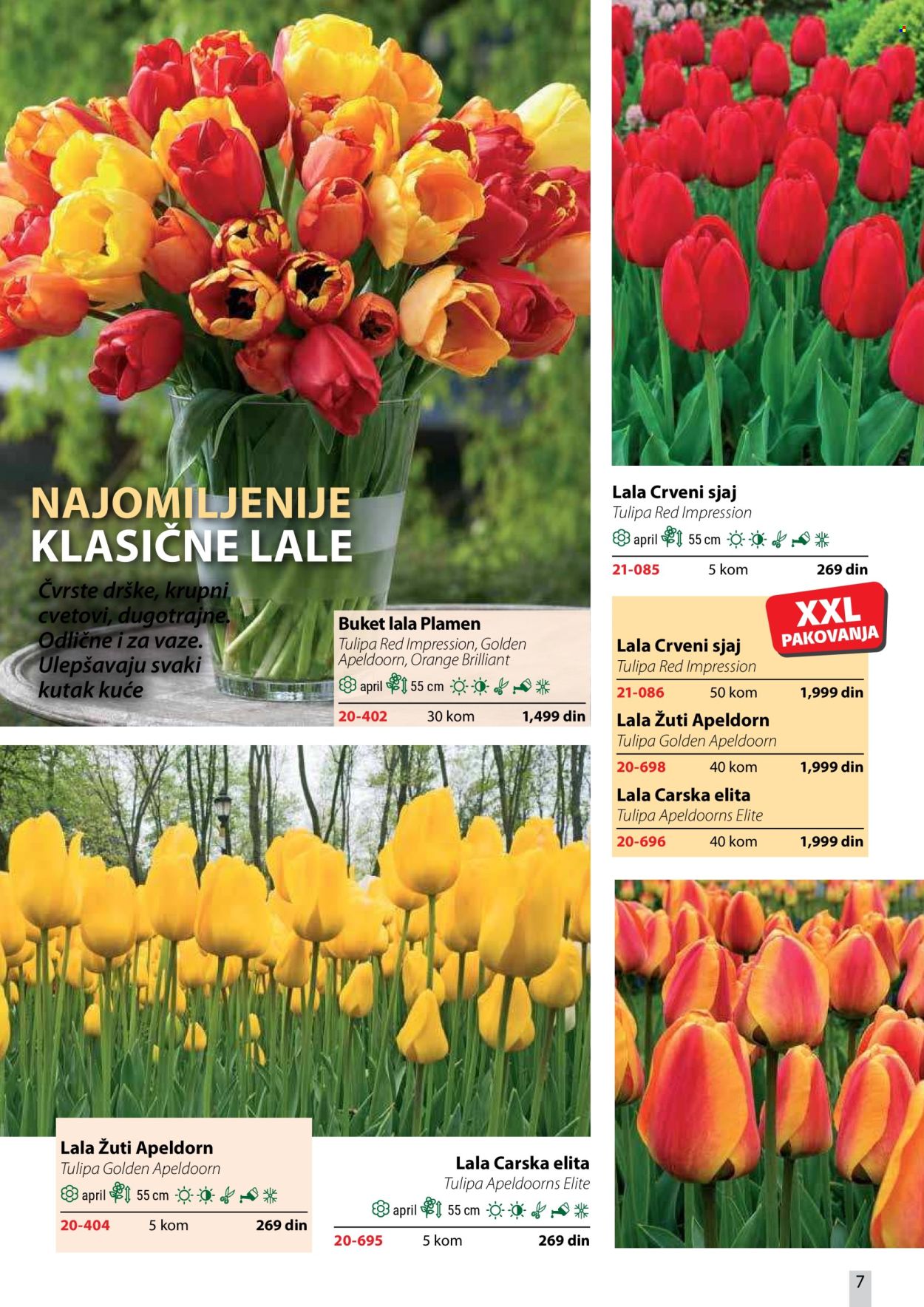 Flora Ekspres katalog . Stranica 7