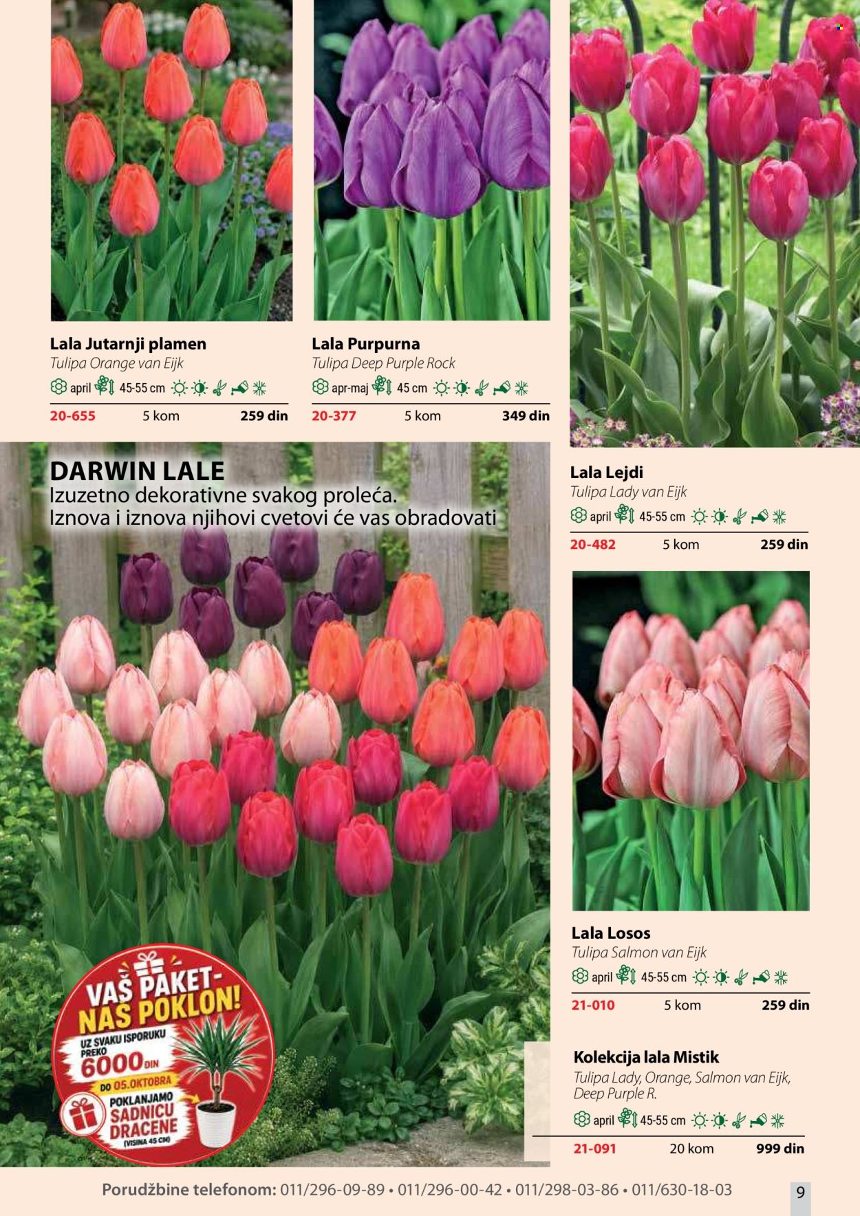 Flora Ekspres katalog . Stranica 9