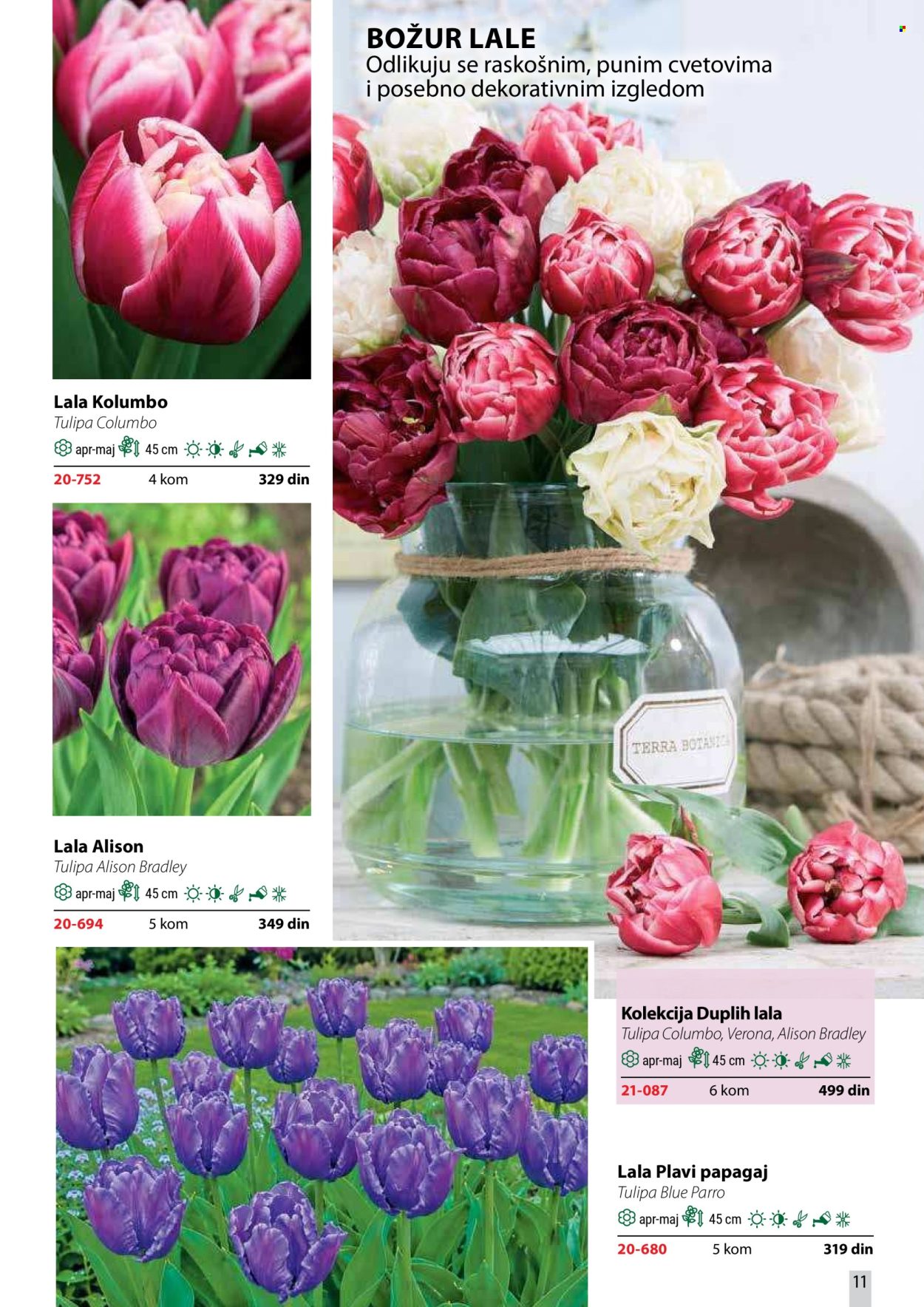 Flora Ekspres katalog . Stranica 11