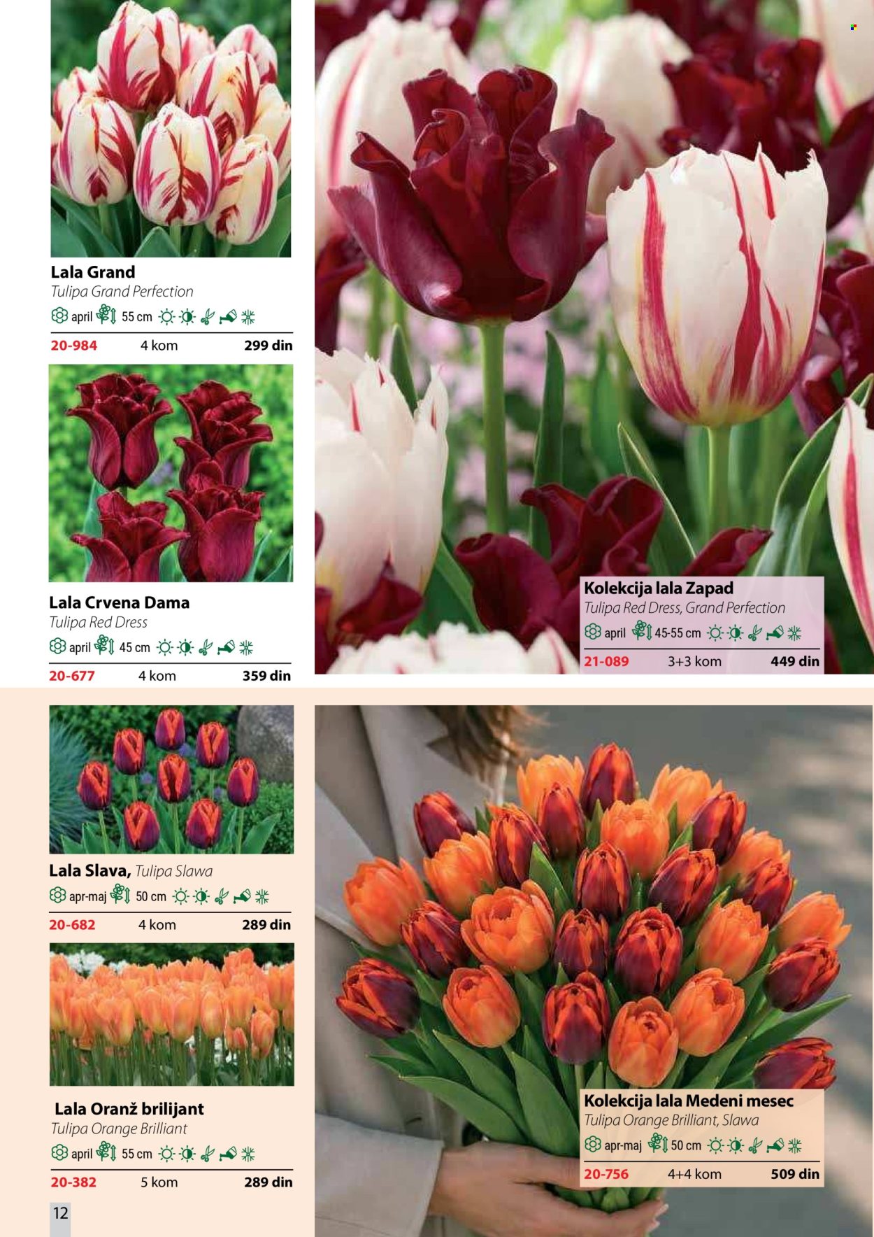 Flora Ekspres katalog . Stranica 12