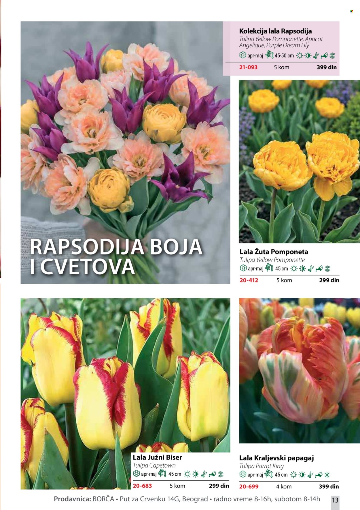 Flora Ekspres katalog . Stranica 13