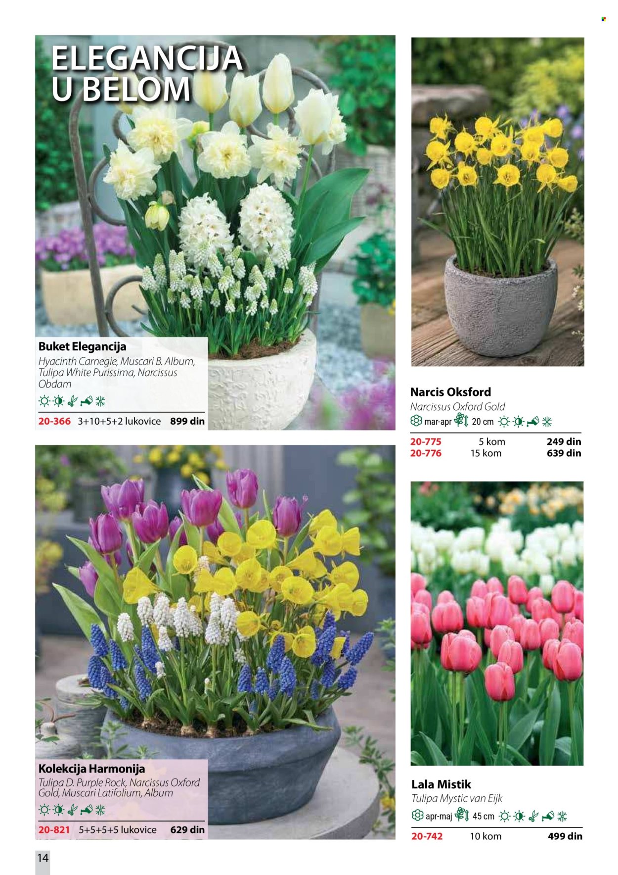 Flora Ekspres katalog . Stranica 14