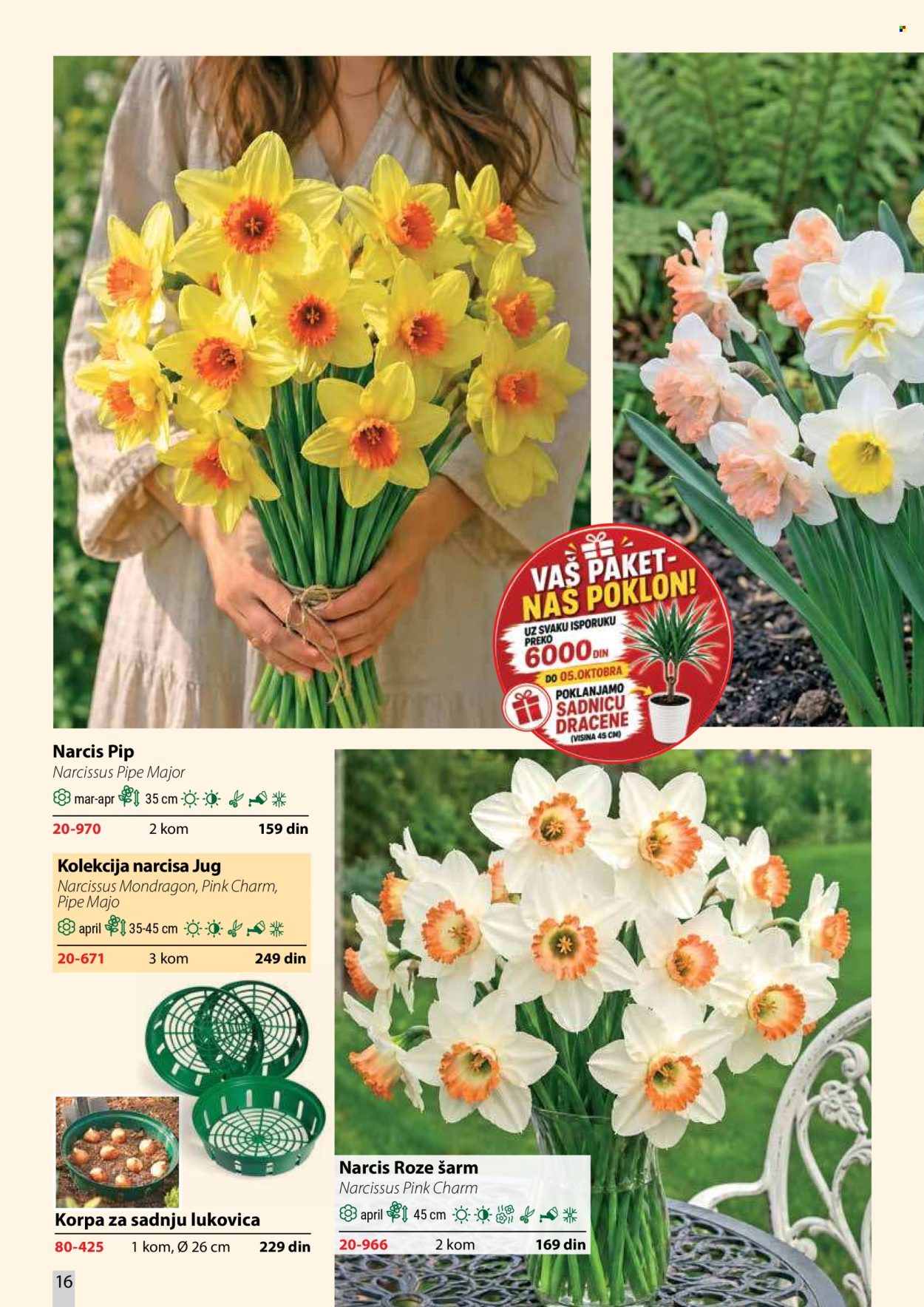 Flora Ekspres katalog . Stranica 16