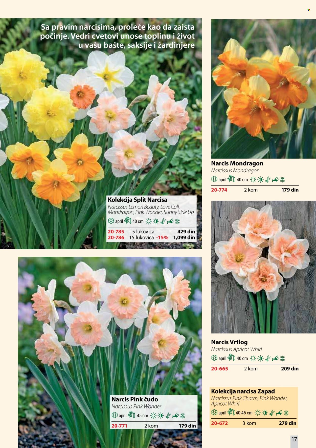 Flora Ekspres katalog . Stranica 17
