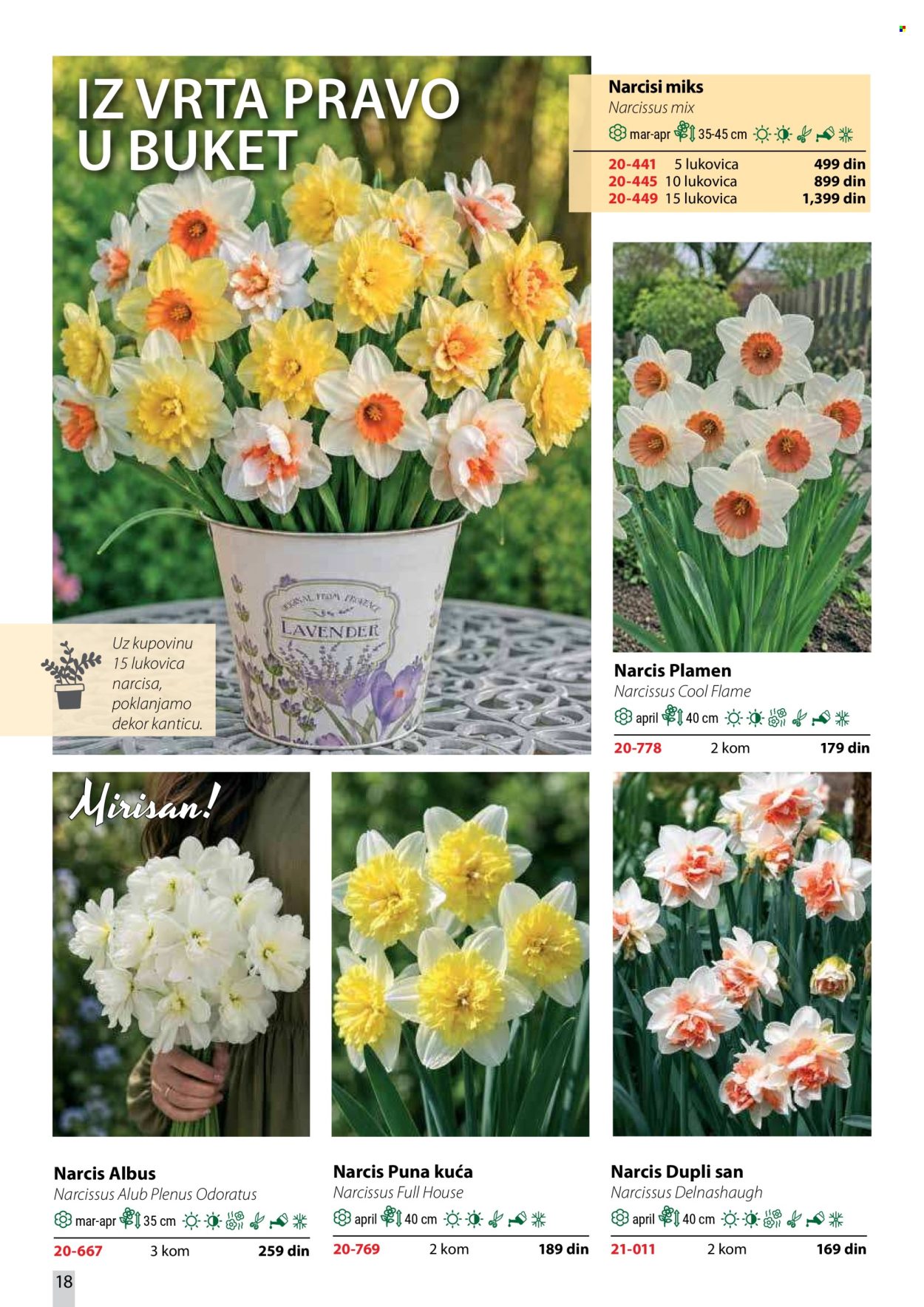 Flora Ekspres katalog . Stranica 18