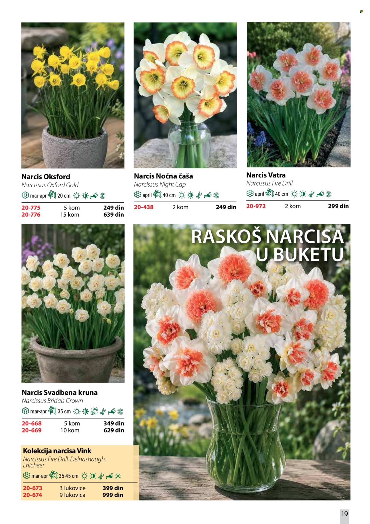 Flora Ekspres katalog . Stranica 19