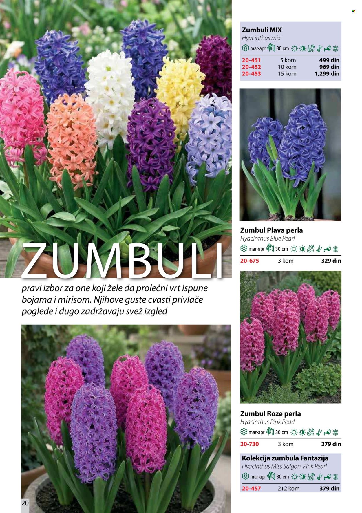 Flora Ekspres katalog . Stranica 20