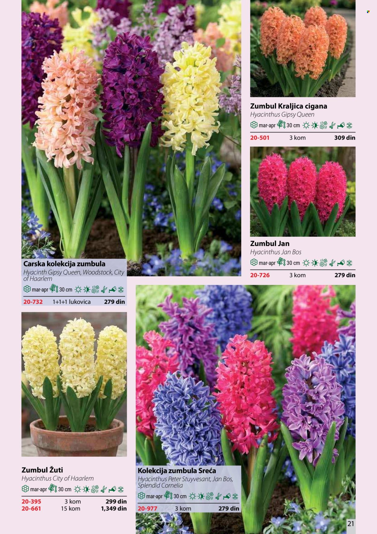 Flora Ekspres katalog . Stranica 21