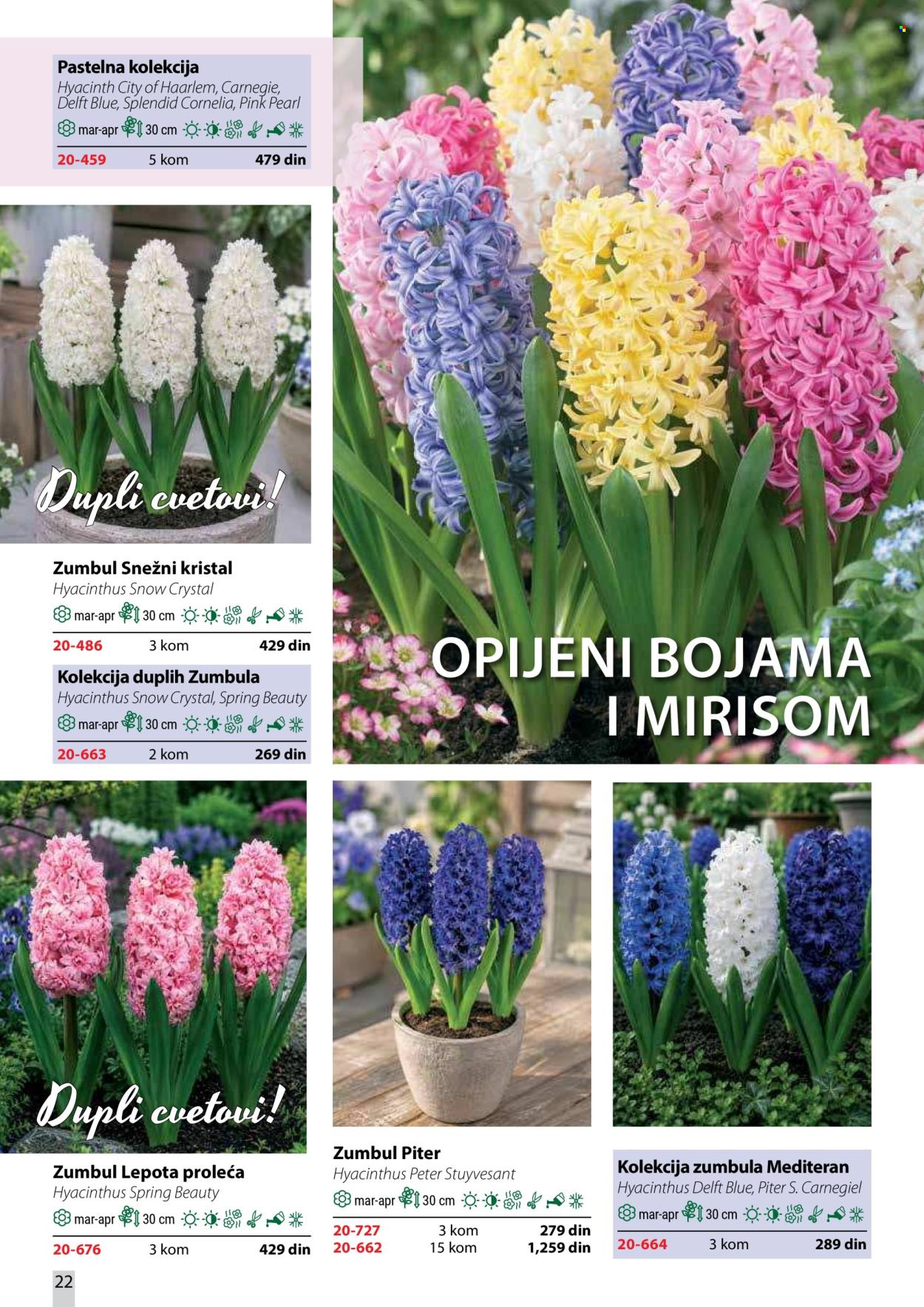 Flora Ekspres katalog . Stranica 22