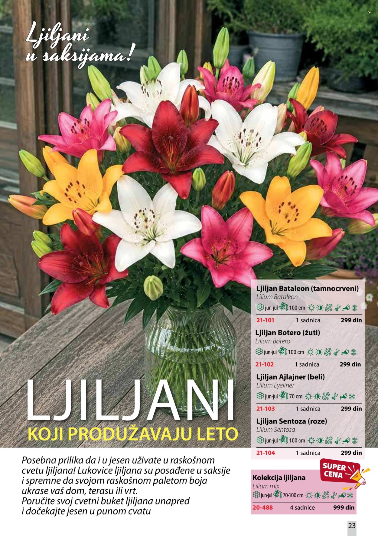 Flora Ekspres katalog . Stranica 23