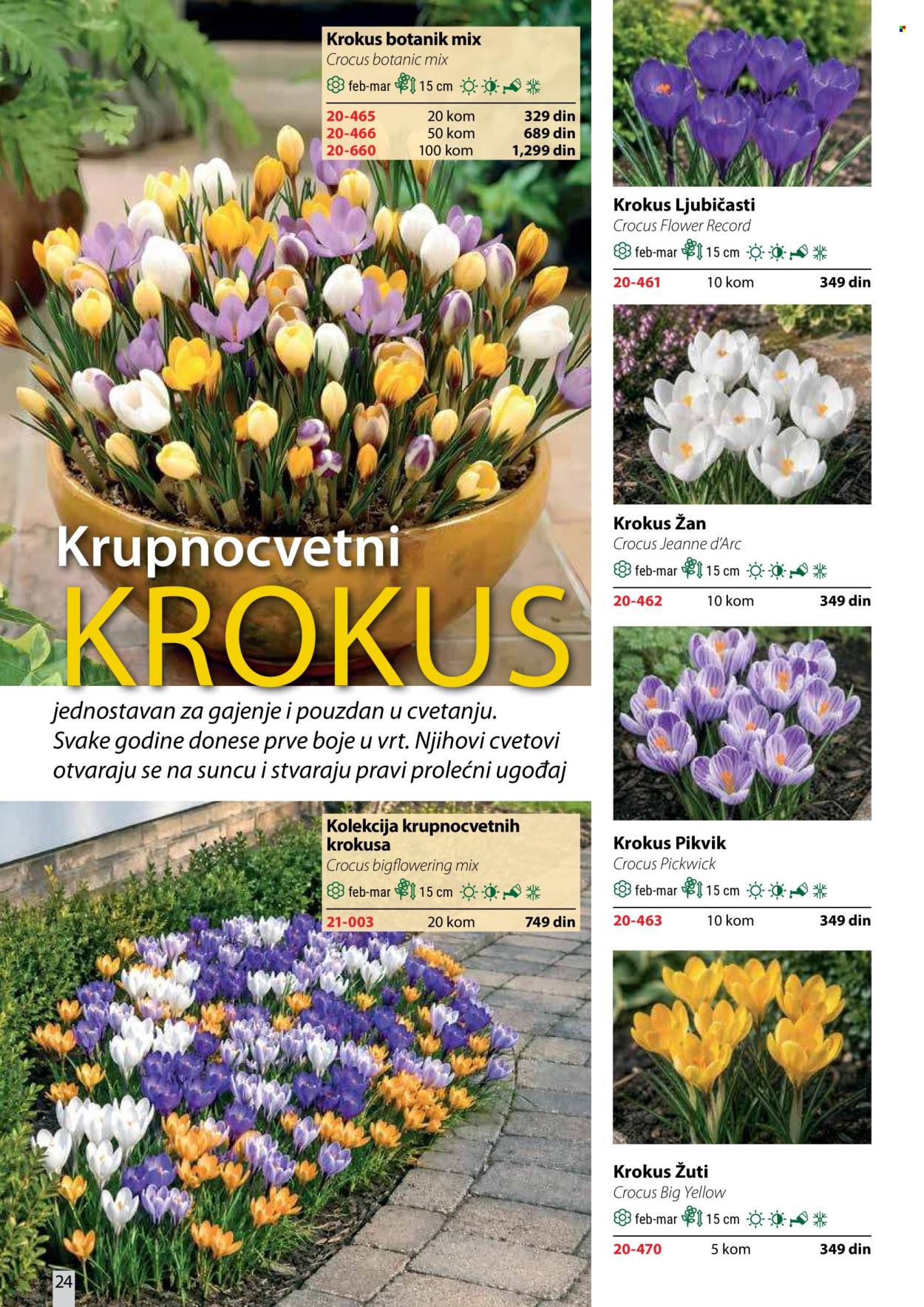Flora Ekspres katalog . Stranica 24