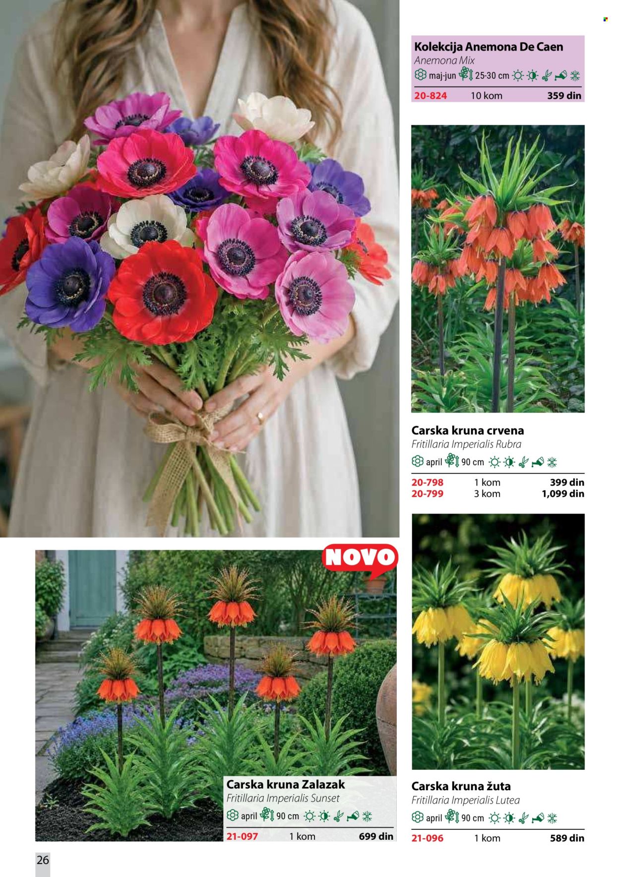 Flora Ekspres katalog . Stranica 26