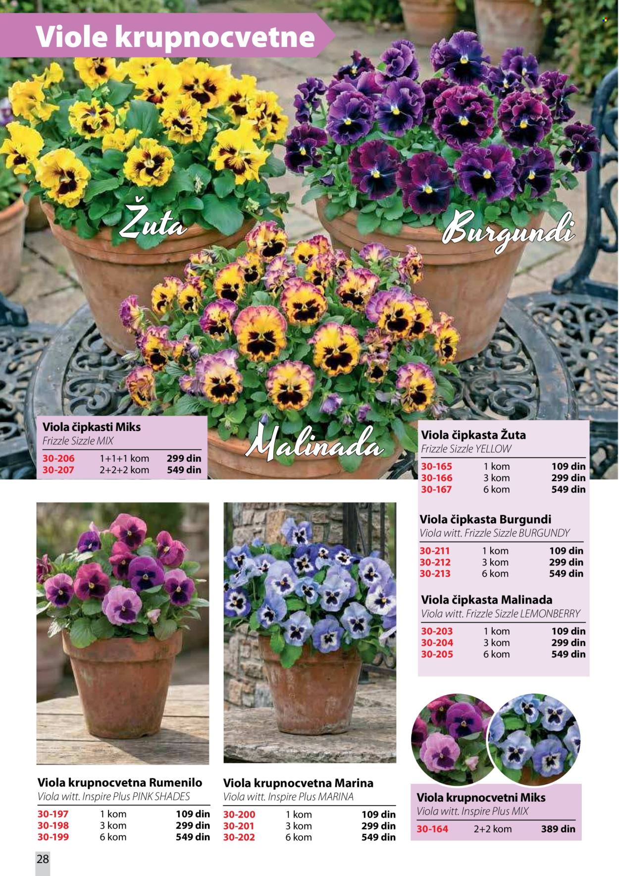Flora Ekspres katalog . Stranica 28