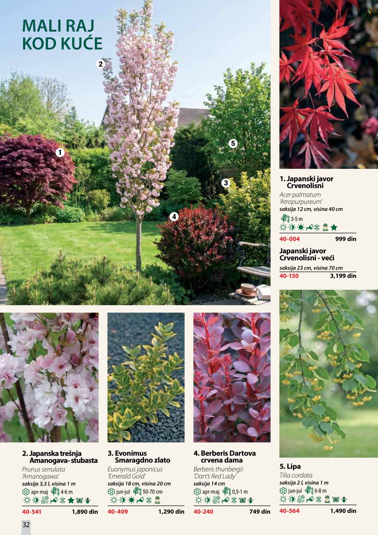 Flora Ekspres katalog . Stranica 32