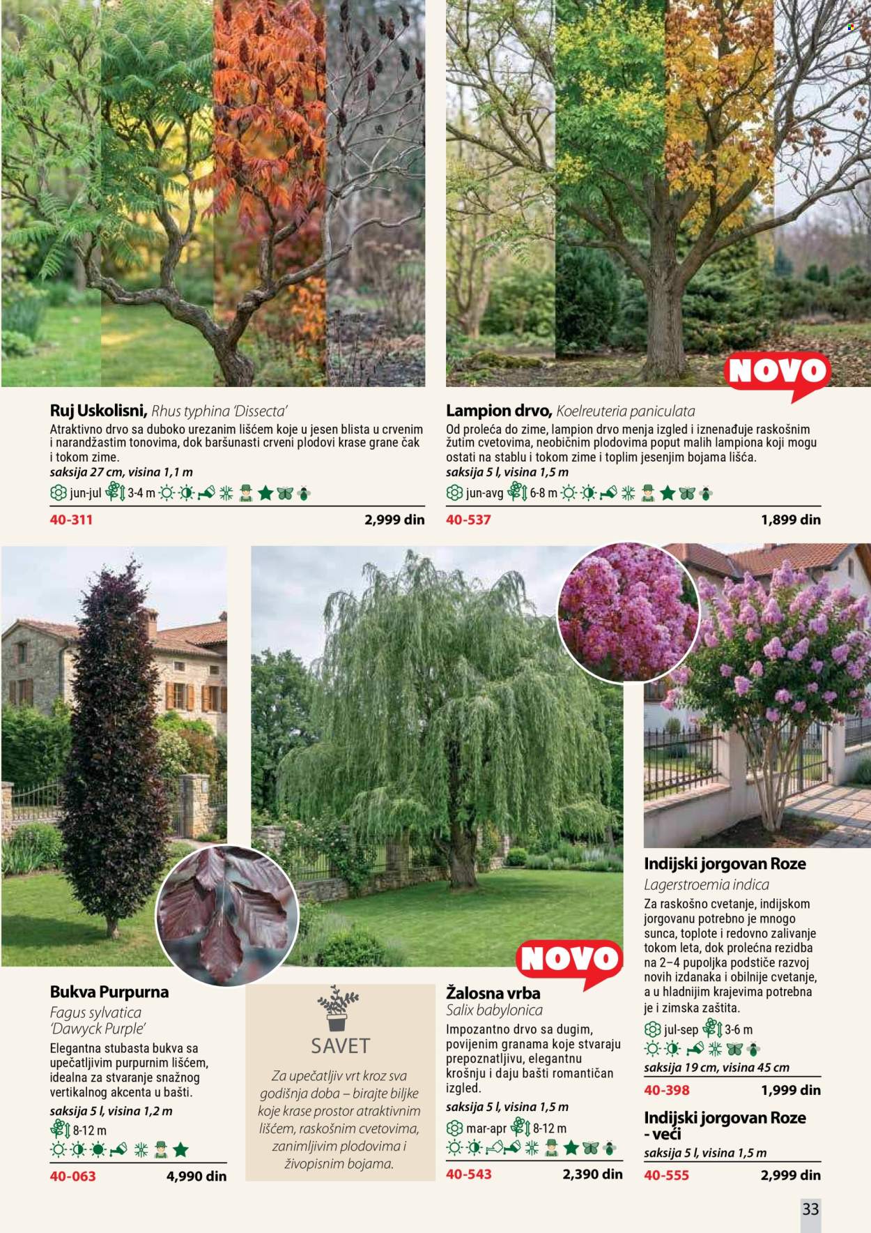 Flora Ekspres katalog . Stranica 33