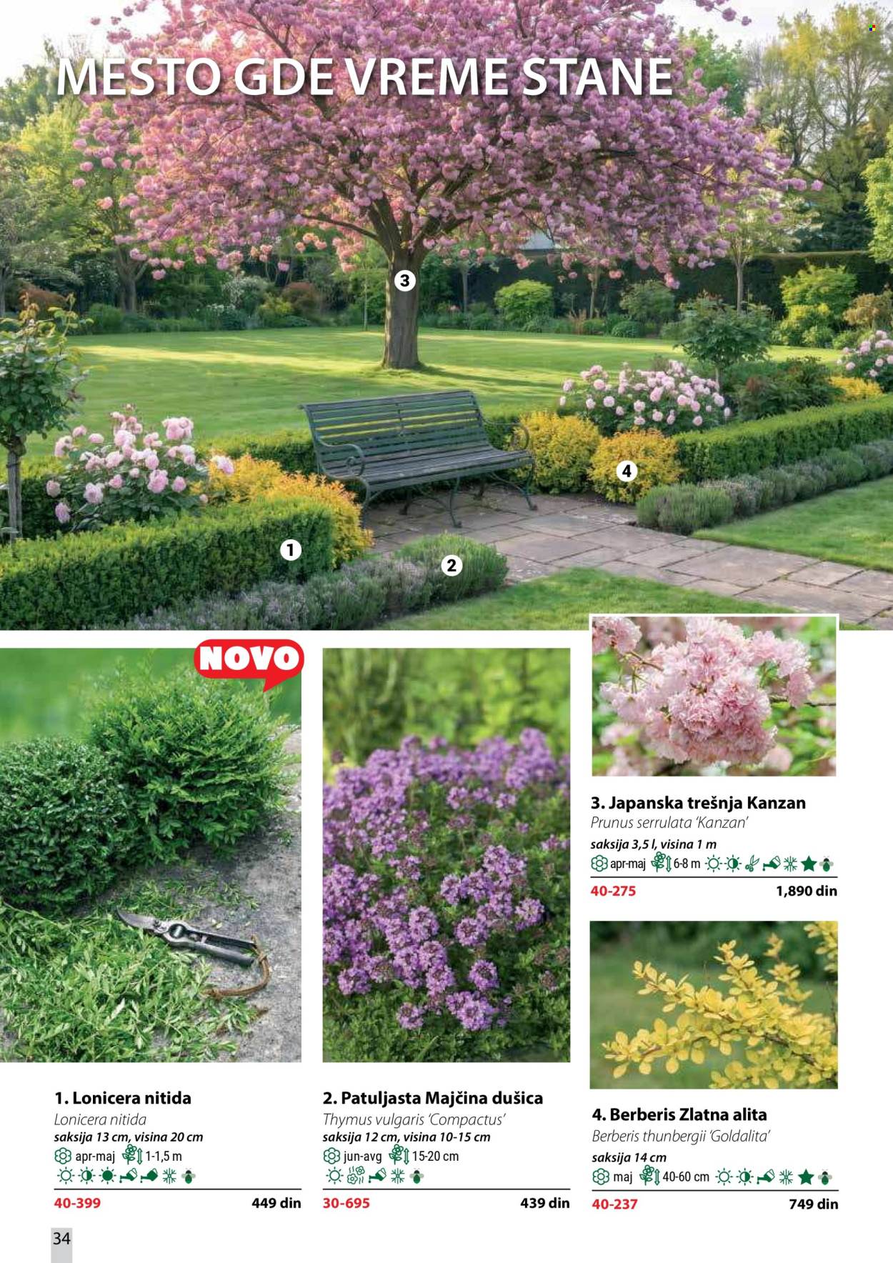 Flora Ekspres katalog . Stranica 34