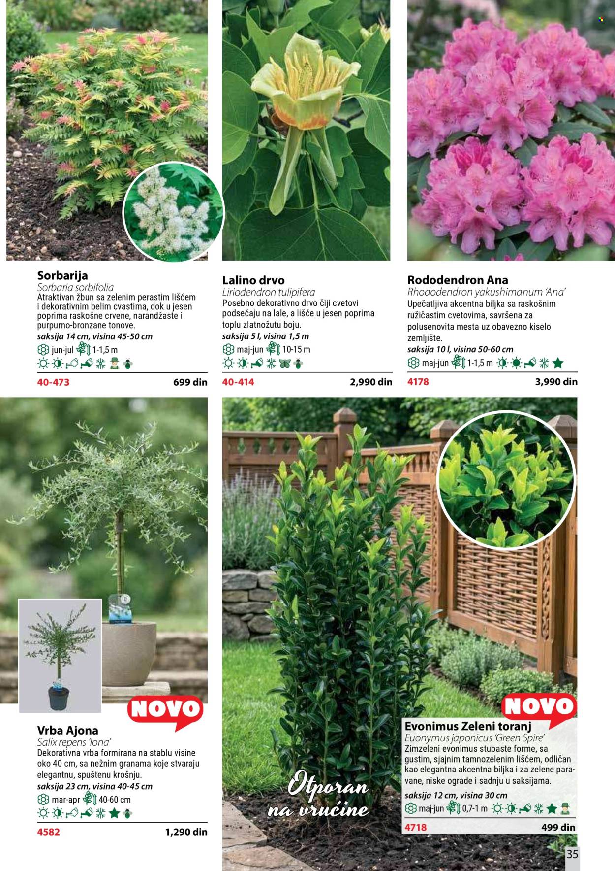 Flora Ekspres katalog . Stranica 35