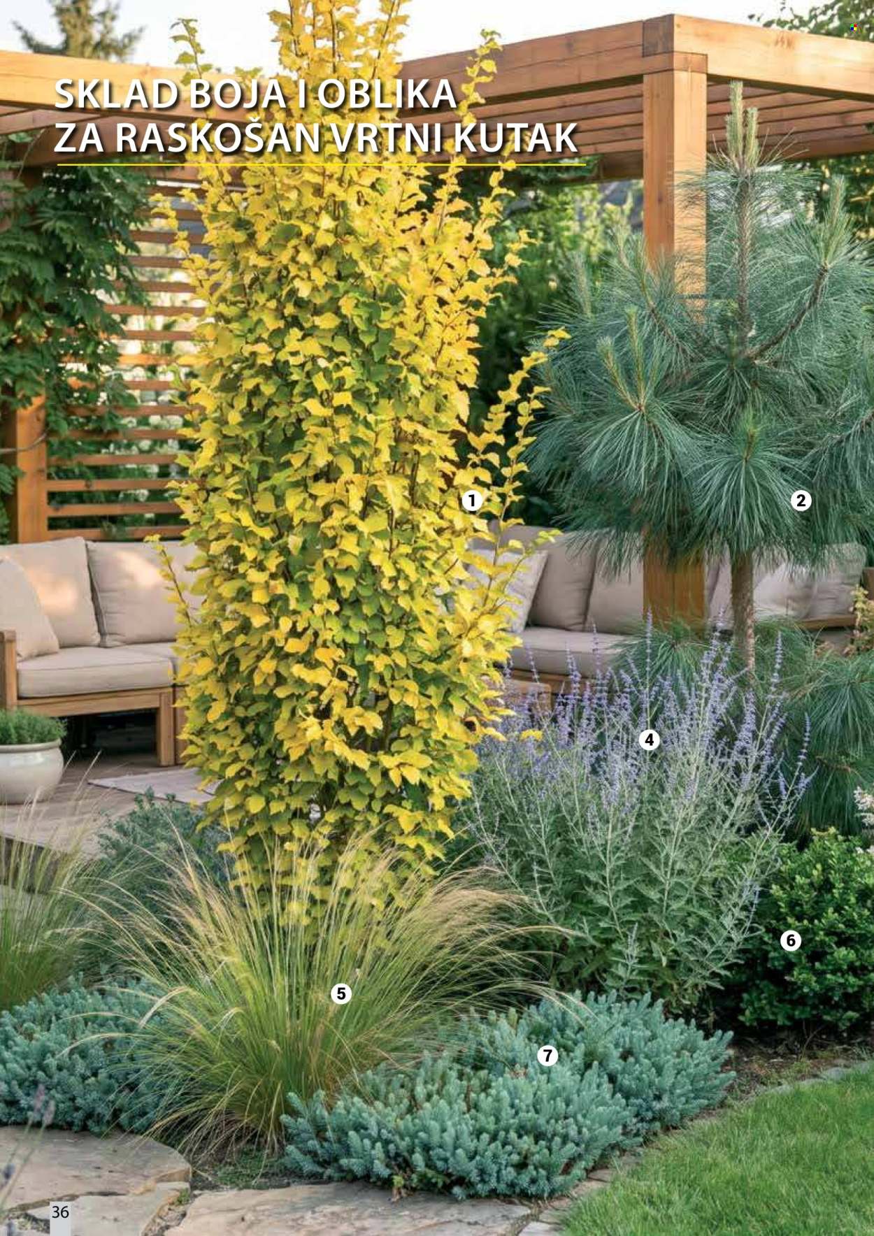 Flora Ekspres katalog . Stranica 36