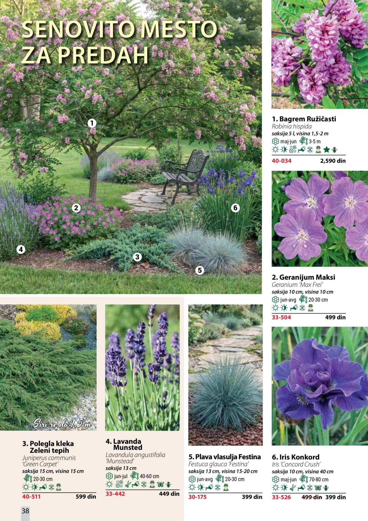 Flora Ekspres katalog . Stranica 38