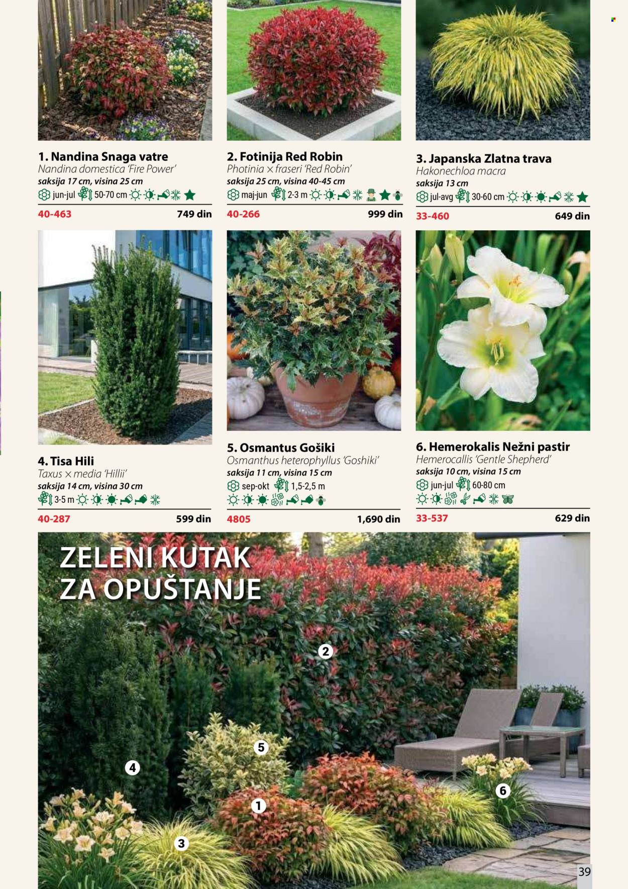 Flora Ekspres katalog . Stranica 39