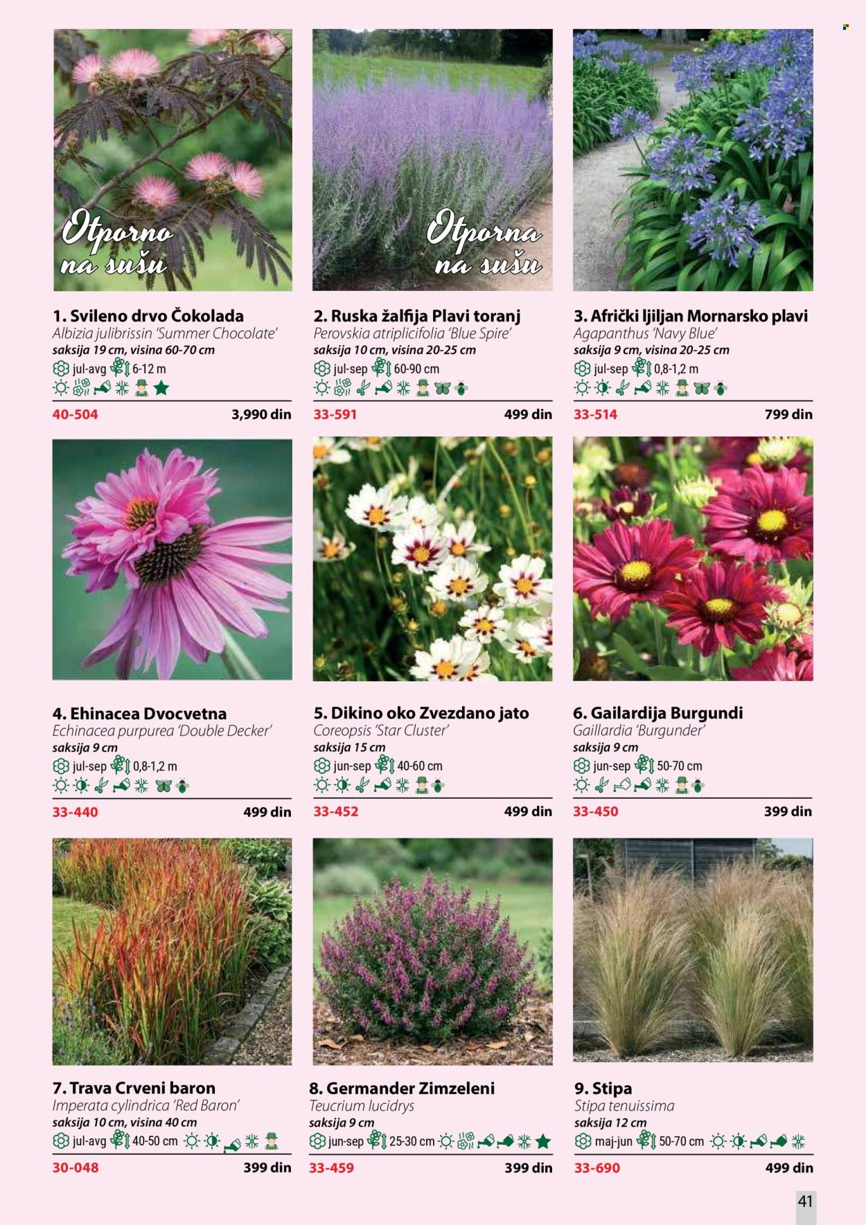 Flora Ekspres katalog . Stranica 41