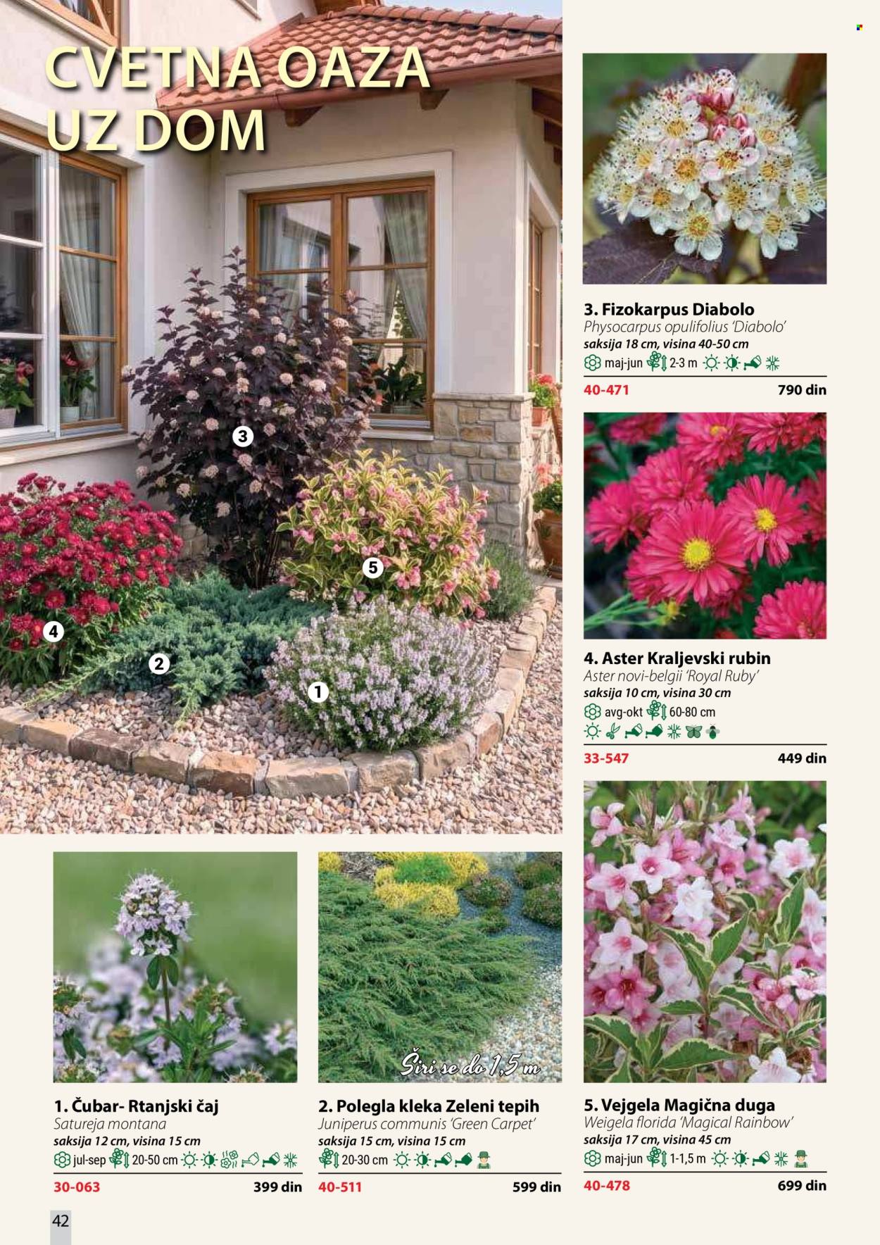 Flora Ekspres katalog . Stranica 42