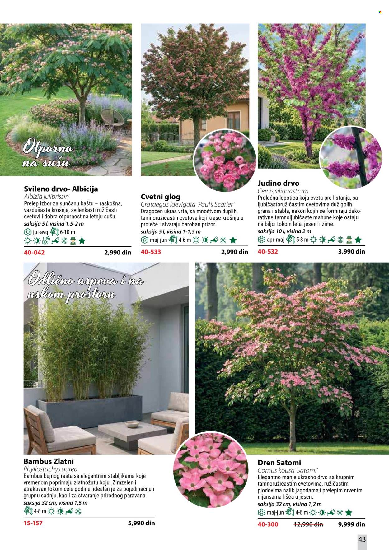 Flora Ekspres katalog . Stranica 43