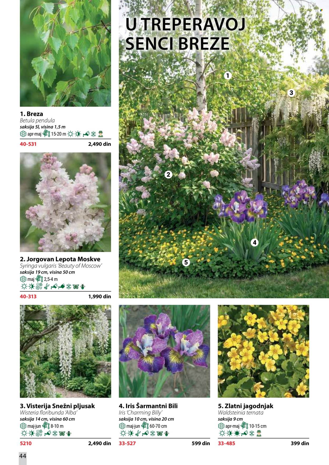 Flora Ekspres katalog . Stranica 44