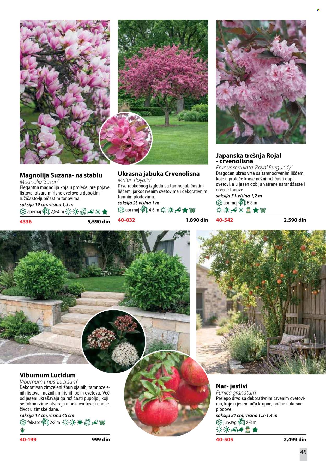 Flora Ekspres katalog . Stranica 45