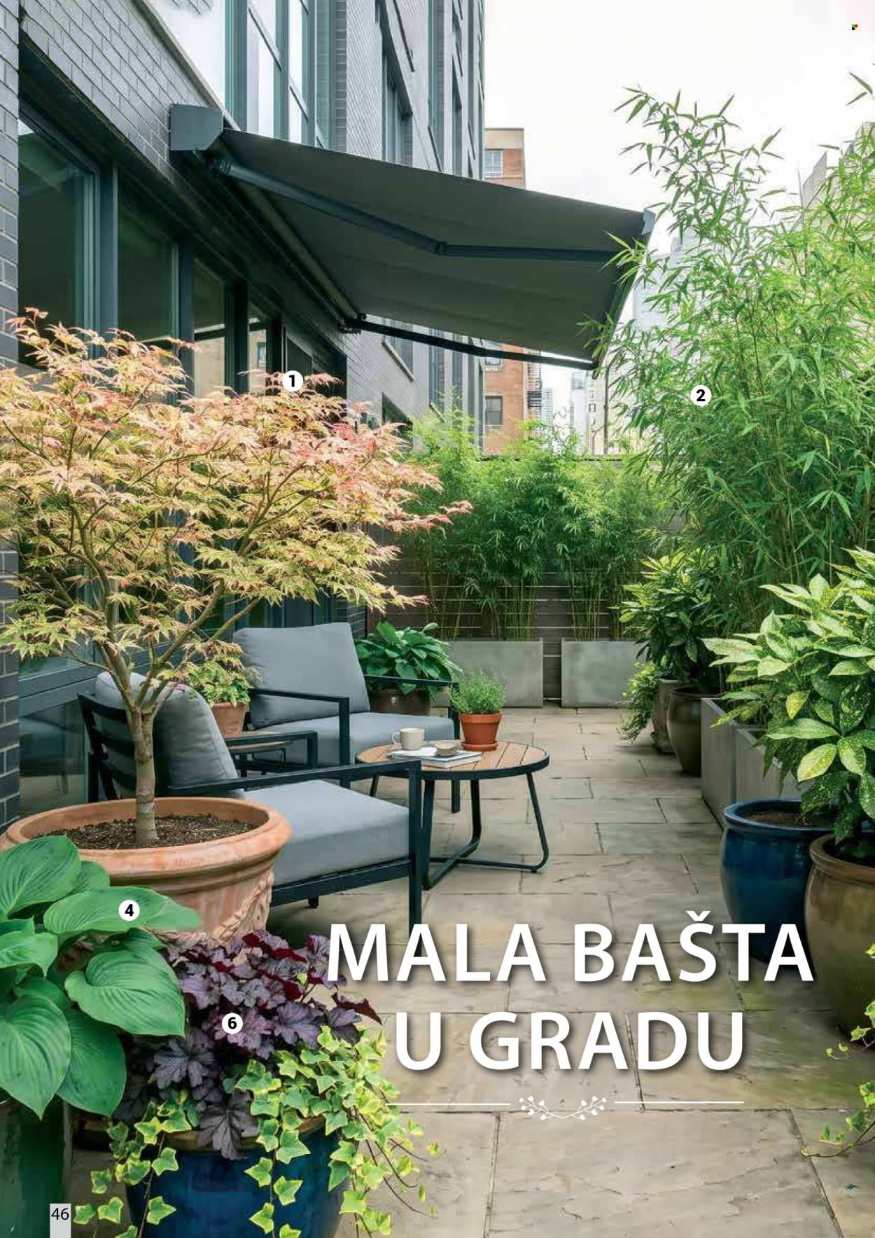 Flora Ekspres katalog . Stranica 46