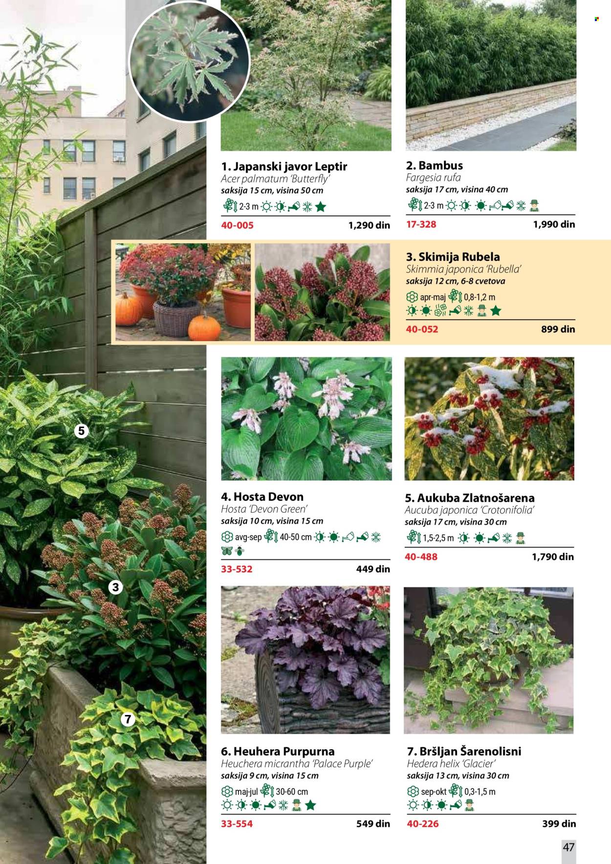 Flora Ekspres katalog . Stranica 47