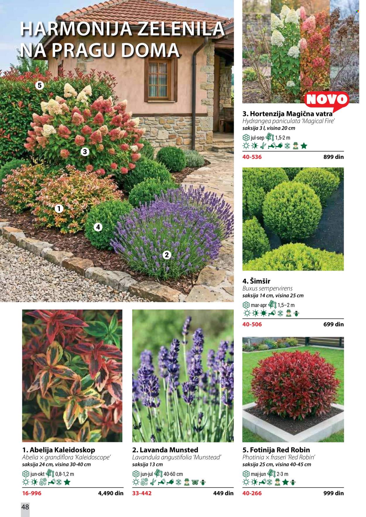 Flora Ekspres katalog . Stranica 48